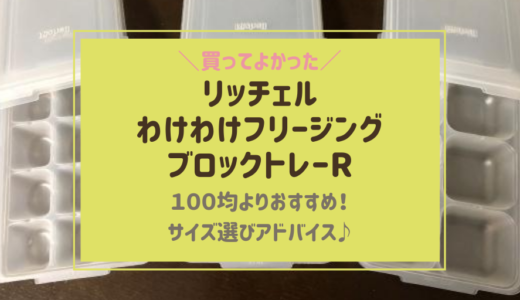 離乳食冷凍の入れ物おすすめはリッチェル！容器サイズ違いが100均より便利♪【レビュー】