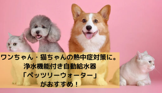 室内犬＆猫用の熱中症対策に自動給水機「ペッツリーウォーター」がおすすめ。1.8Lの大容量タンクで長時間のお留守番も安心♪