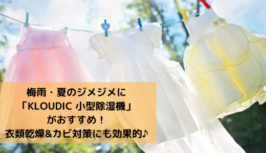 ワンルームにぴったりサイズ「KLOUDIC 小型除湿器」がコンパクトでおすすめ！衣類乾燥・カビ対策に効果的♪