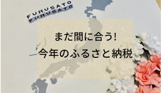 ふるさと納税のおすすめ品まとめ